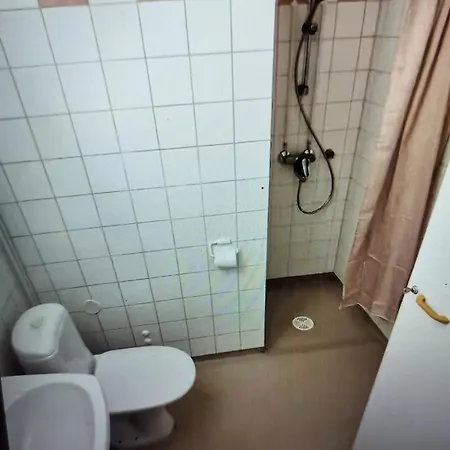 Alimman Kerroksen Yksioe Jokioinen